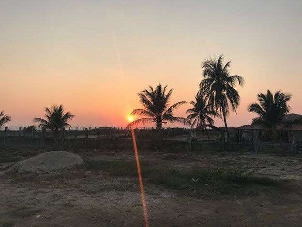 palms-and-sunset.jpg