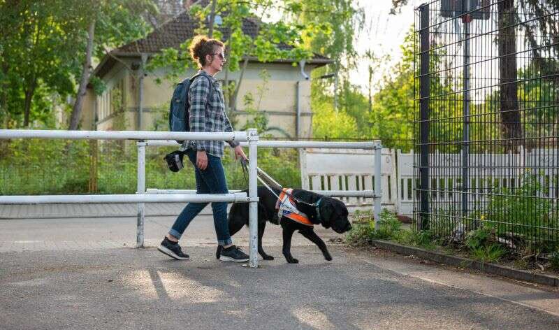 Service dog helps a woman with Huntington’s disease walk safely outside