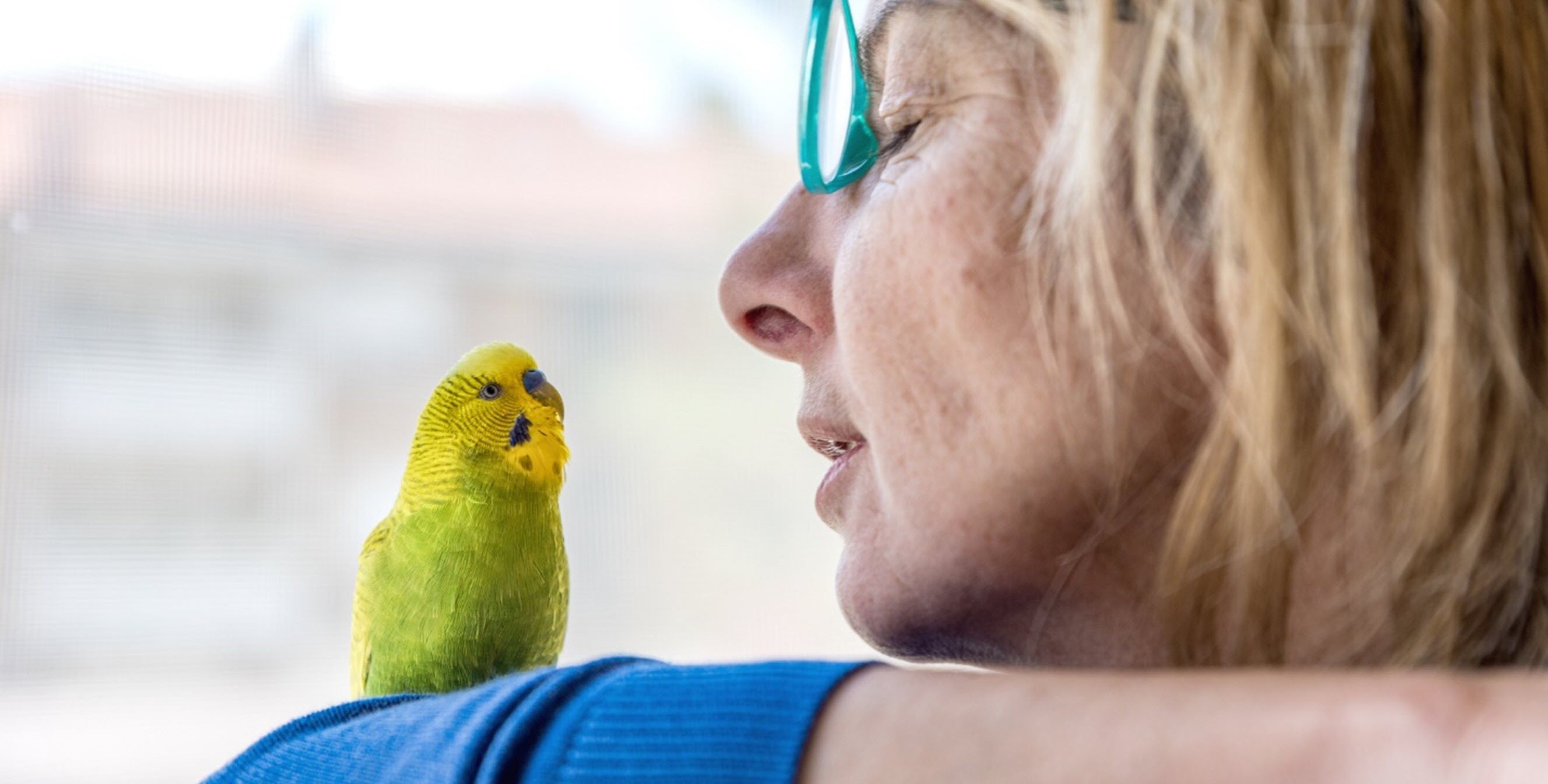 woman with huntington's disease finds solace in new new friend a green parrot