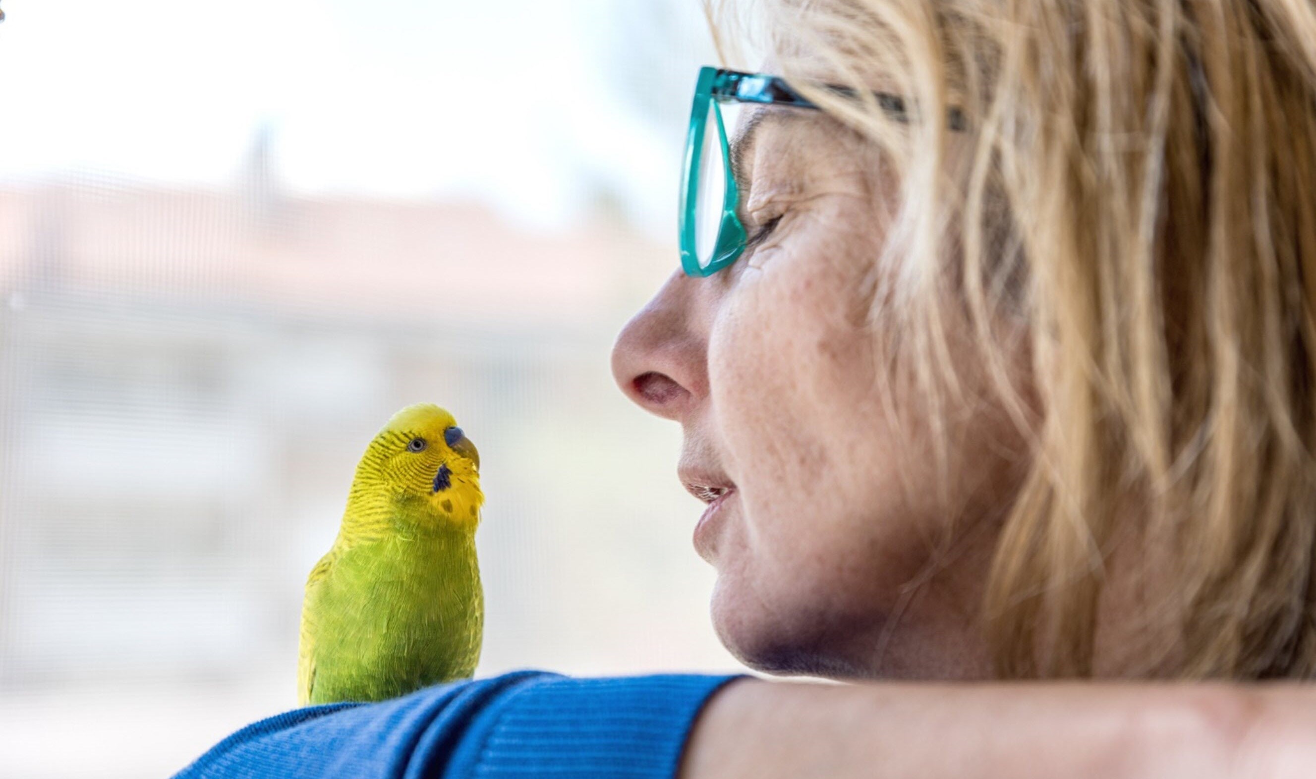 woman with huntington's disease finds solace in new new friend a green parrot