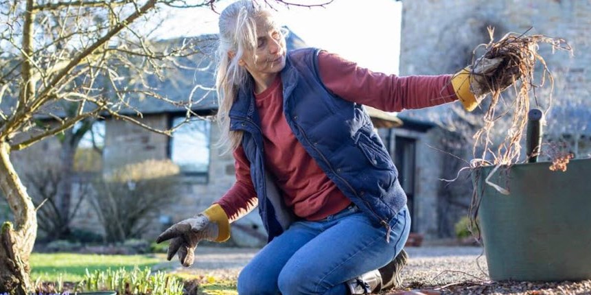 Woman removing garden of weeds symbolizing family caregiver weeding out unnecessary challenges and doubts.