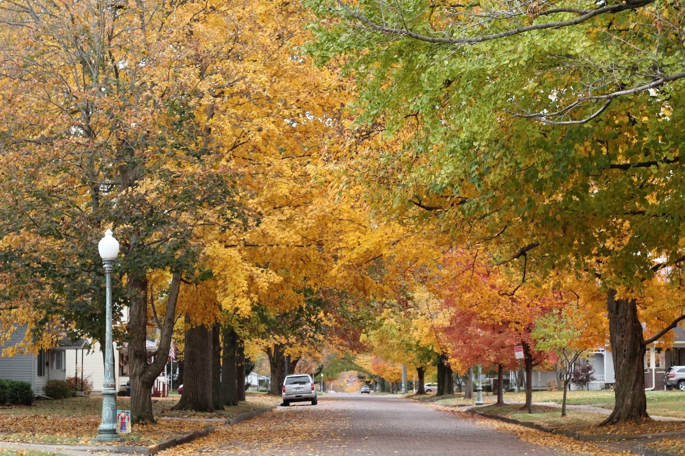 Street in the autumn