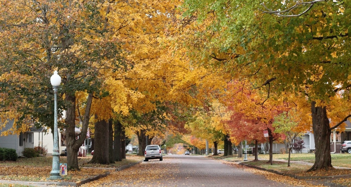 Street in the autumn